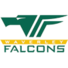 韦佛利猎隼女篮logo